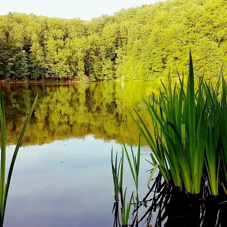 Direkt Am Badesee 11 Schoensee