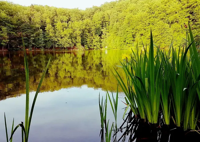 Direkt Am Badesee 11 Schoensee
